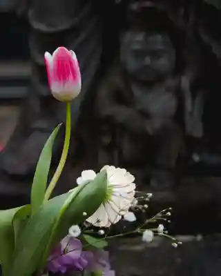 金龍寺(群馬県)