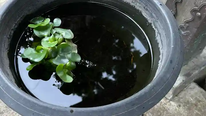豊龍神社(山形県)