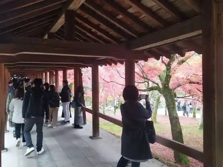 東福禅寺(東福寺)のその他建物