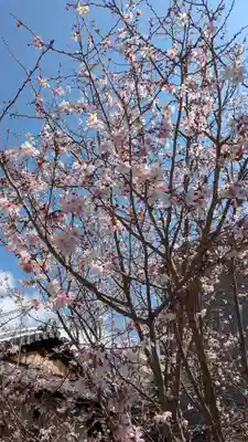 妙蓮寺(京都府)