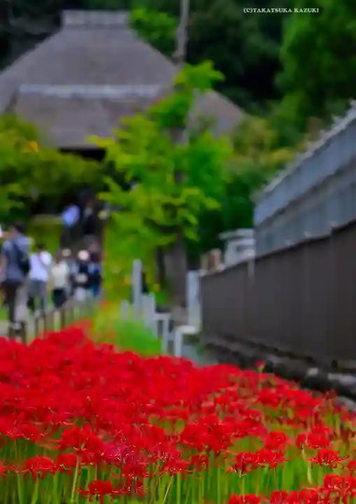 横浜 西方寺(神奈川県)