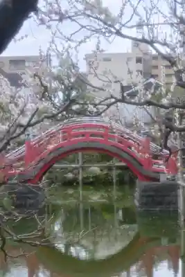亀戸天神社(東京都)