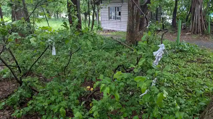 留萌神社のおみくじ
