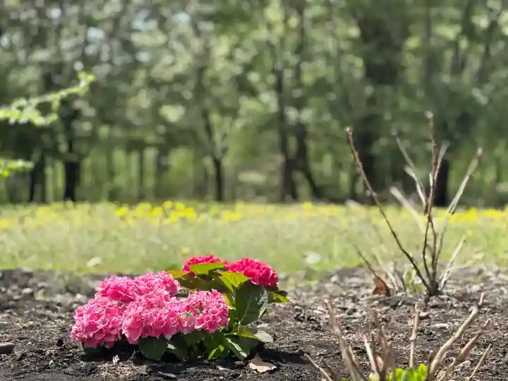 鹿追神社の庭園