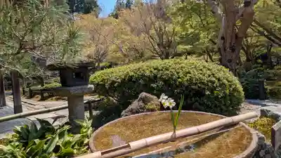 圓光寺(京都府)