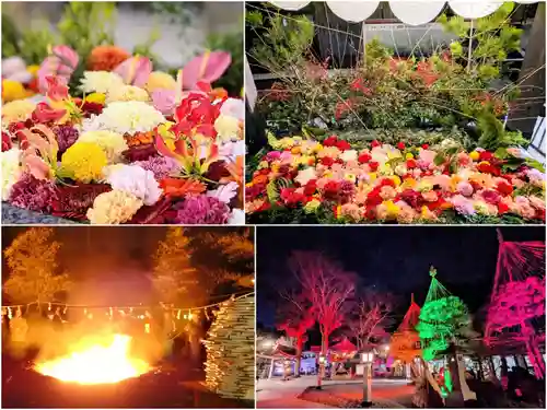 金蛇水神社(宮城県)