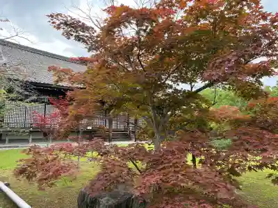 勧修寺(京都府)