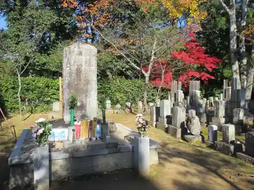 くろ谷 金戒光明寺(京都府)