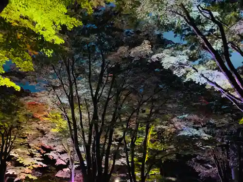 土津神社｜こどもと出世の神さまの自然