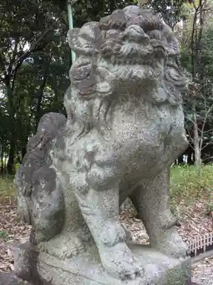 八幡社(柏井町)の狛犬