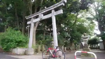 金山神社の鳥居