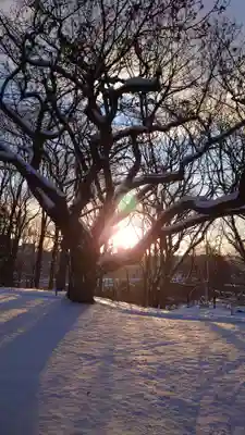 相馬神社(北海道)