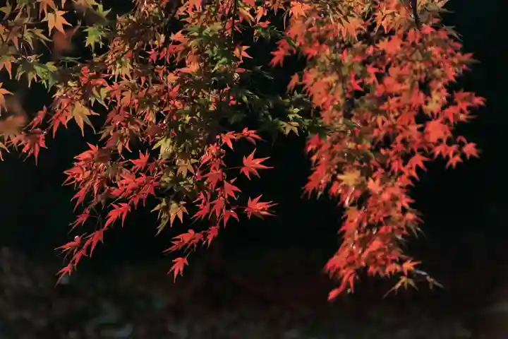 田村神社の景色