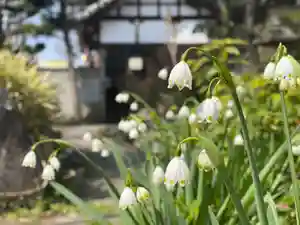 許麻神社の自然(2022年03月24日(木) 10時55分32秒投稿)