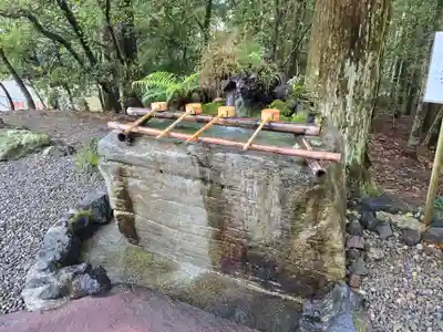 霧島神宮(鹿児島県)