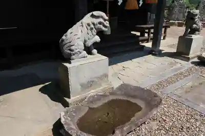 長屋神社の狛犬