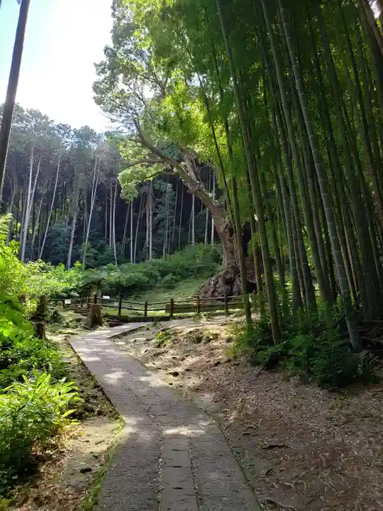 武雄神社(佐賀県)