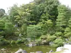 仁和寺(京都府)