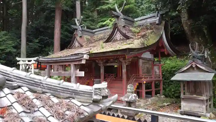 海神社の本殿・本堂