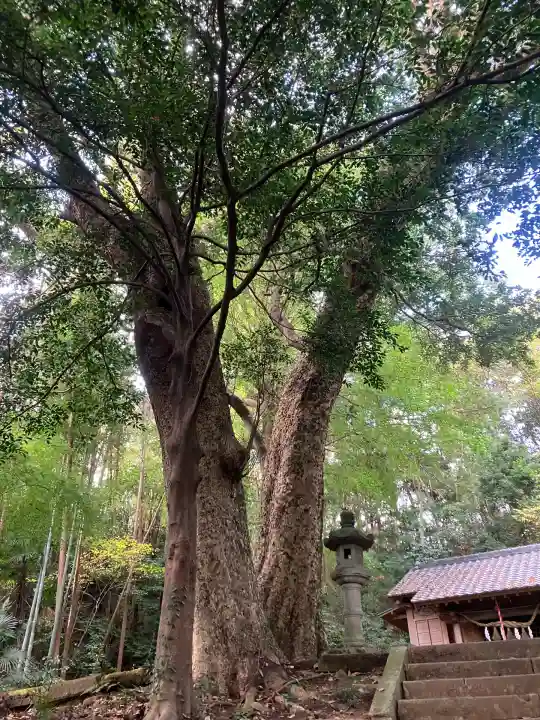熊野神社(神奈川県)