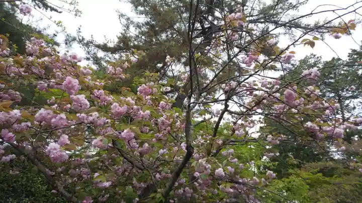 建部大社の自然