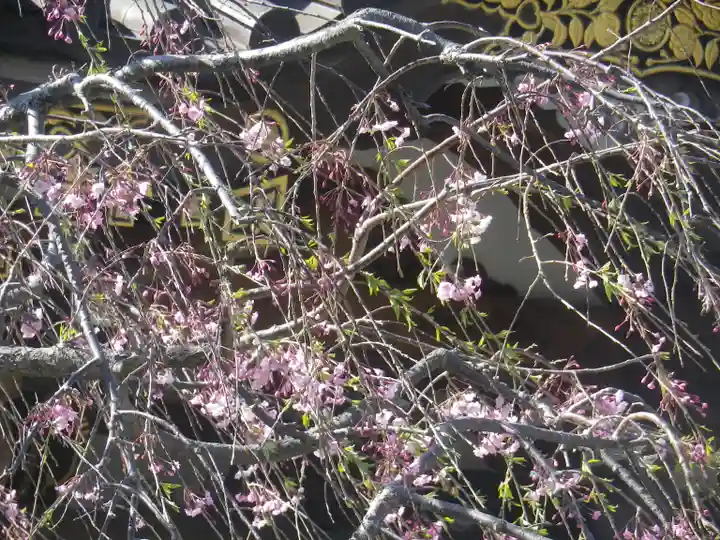 妙隆寺のその他建物