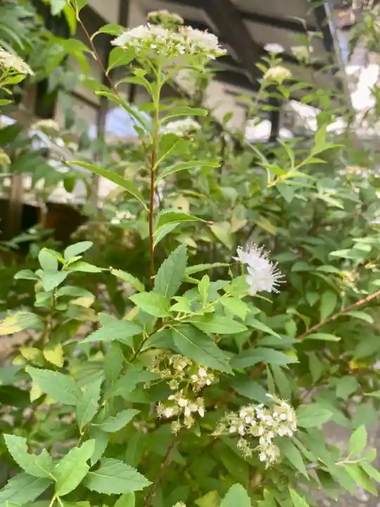 粟嶋堂宗徳寺の自然