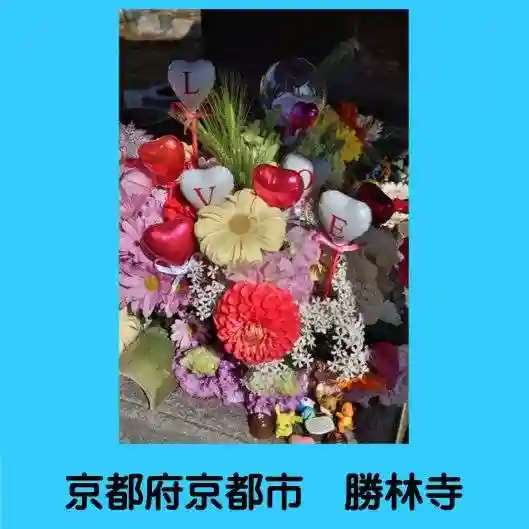 勝林寺の手水舎