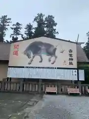 白鷺神社の絵馬