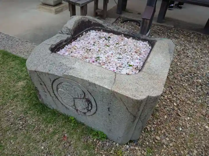 松應寺の手水舎