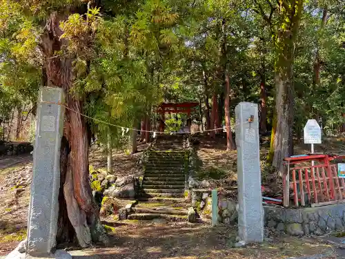 天神社(山梨県)