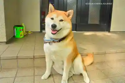 笠䅣稲荷神社(神奈川県)