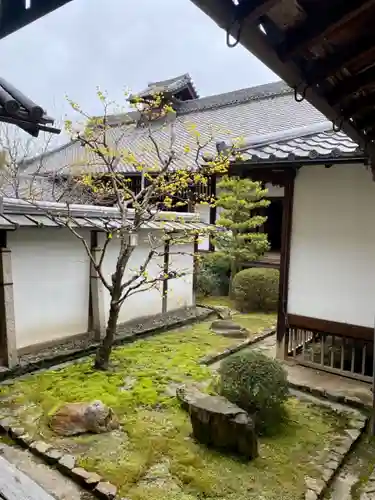 隨心院（随心院）の庭園