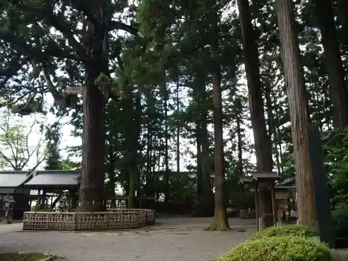 日高神社の自然