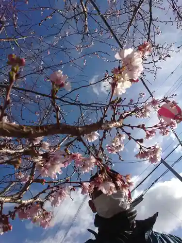 住吉神社の自然