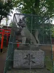 羽根木神社の狛犬