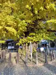 勝福寺(神奈川県)