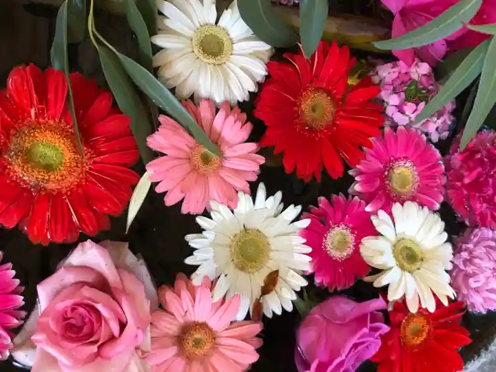 坂本八幡神社(徳島県)