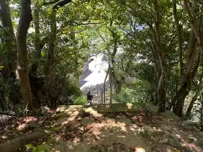 胞衣神社(兵庫県)
