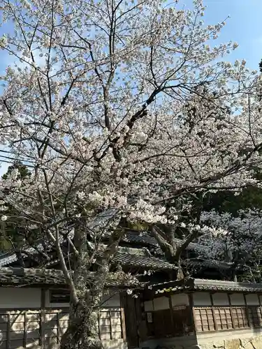佐伎治神社(福井県)