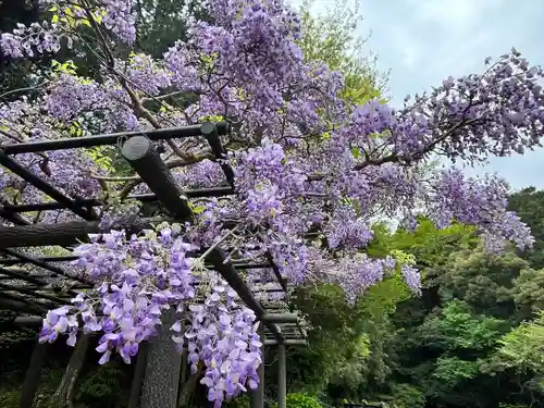 丹生官省符神社(和歌山県)
