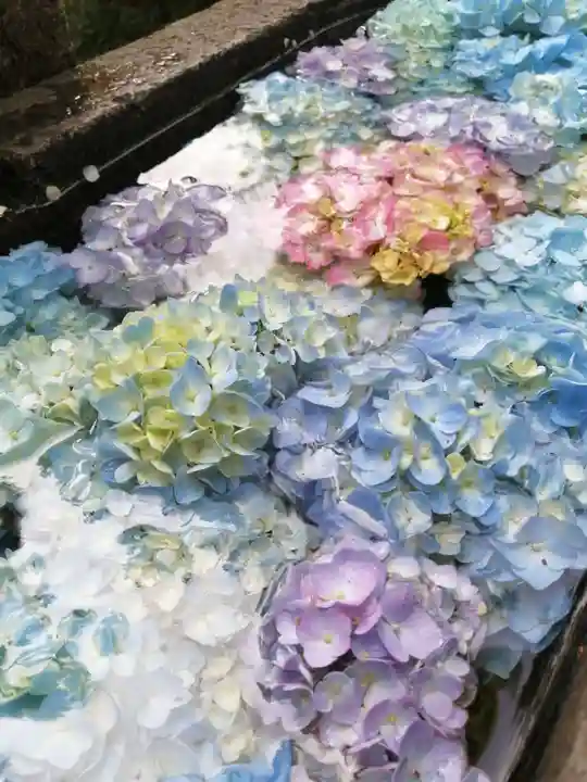 間々田八幡宮の手水舎