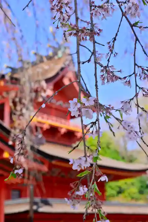 富士山本宮浅間大社(静岡県)