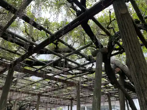 報徳二宮神社(神奈川県)