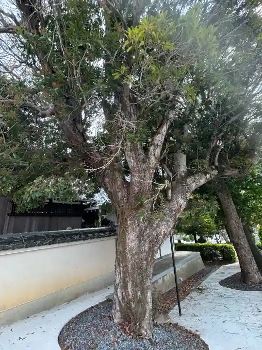 五字神社(大阪府)