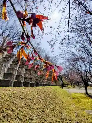 厚別神社(北海道)