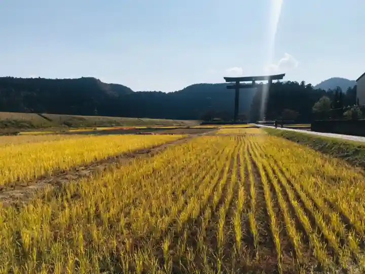 大斎原(熊野本宮大社旧社地)の周辺