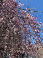 百品神社(群馬県)