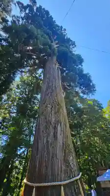 戸隠神社中社(長野県)