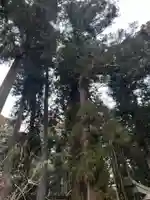大宮温泉神社(栃木県)